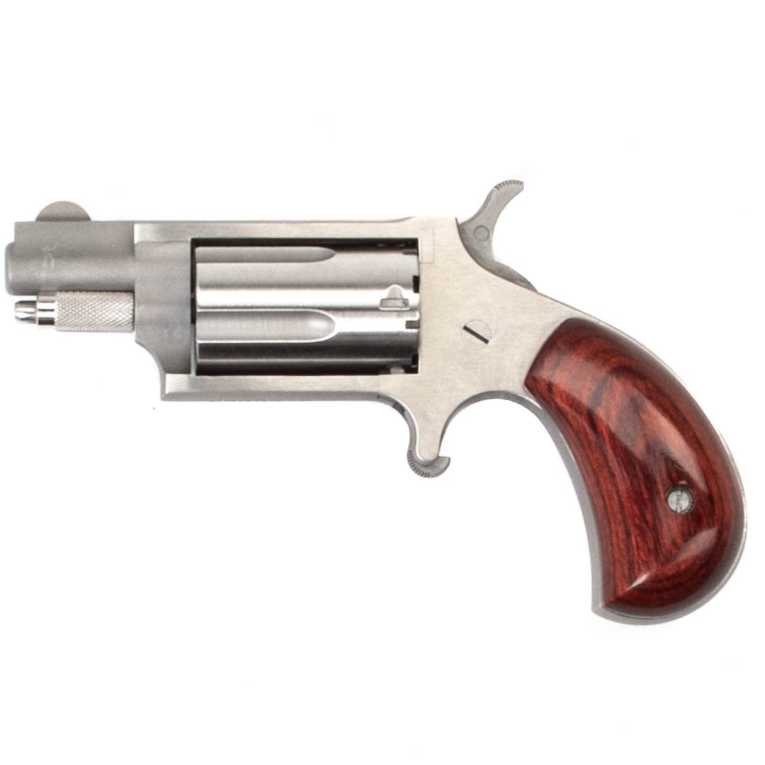 North American Arms Naa-22ms
